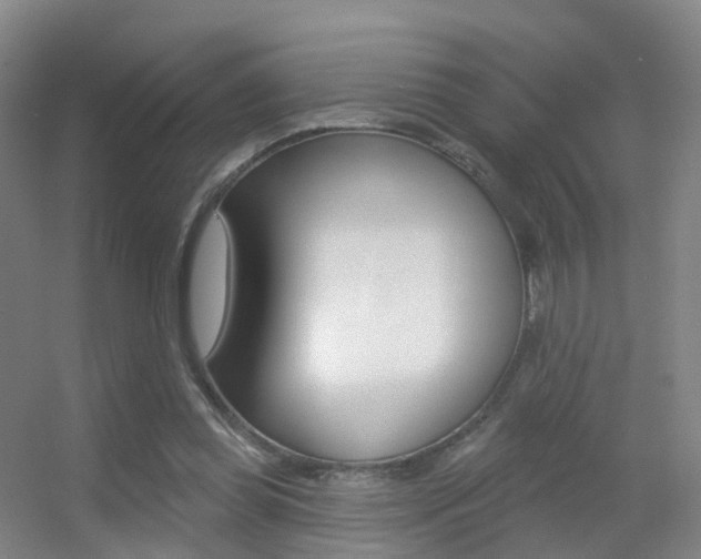 X0000055520349200508120827