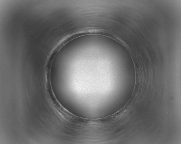 X0000055520350200508120827