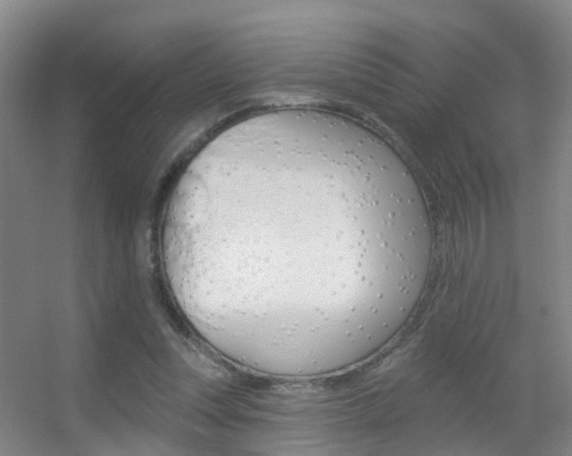 X0000055520351200508120828