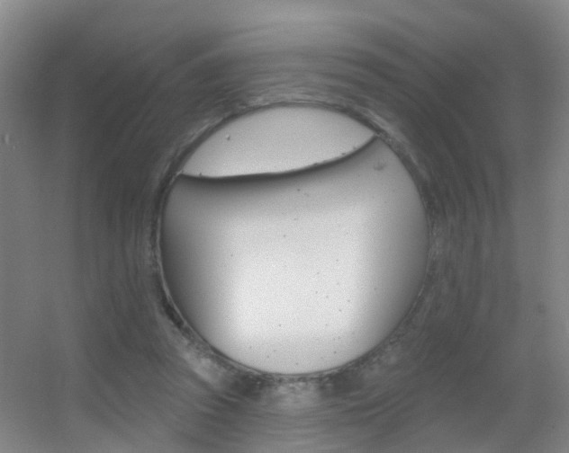 X0000055520353200508120828