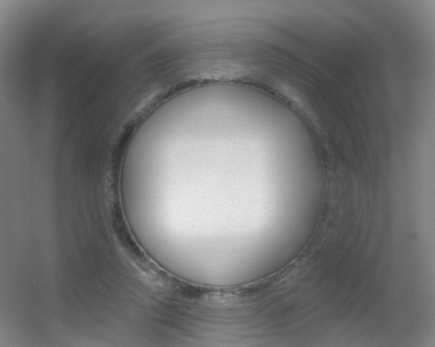 X0000055520354200508120828