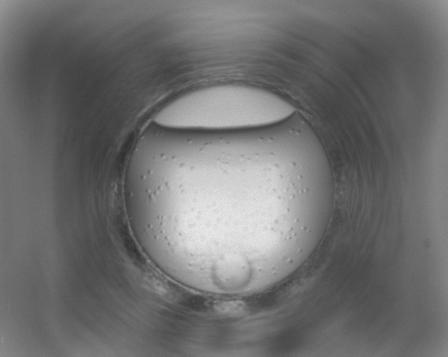 X0000055520355200508120828