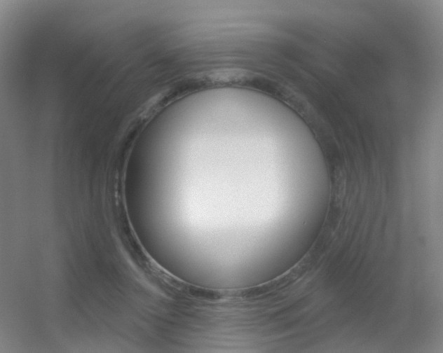 X0000055520356200508120828