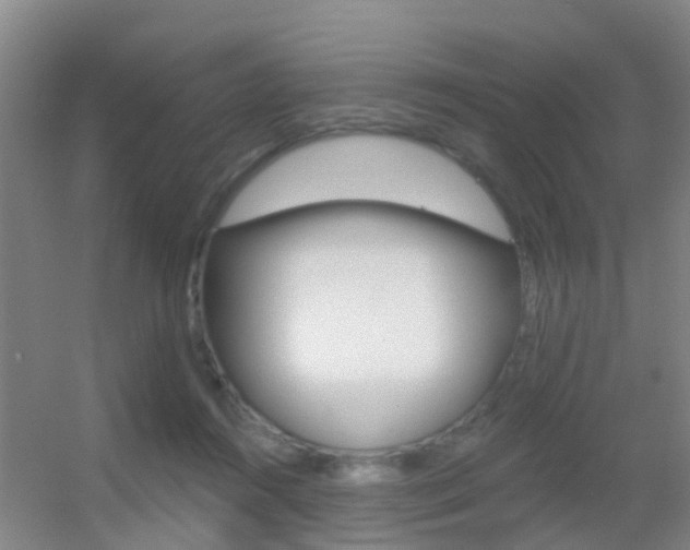 X0000055520360200508120828