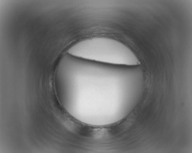 X0000055520363200508120828