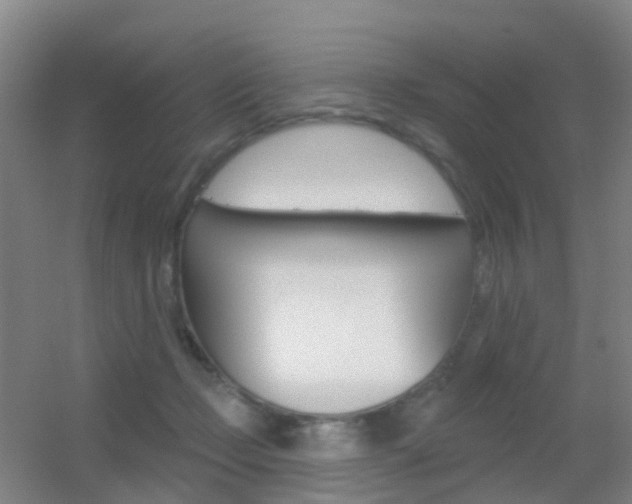 X0000055520365200508120828