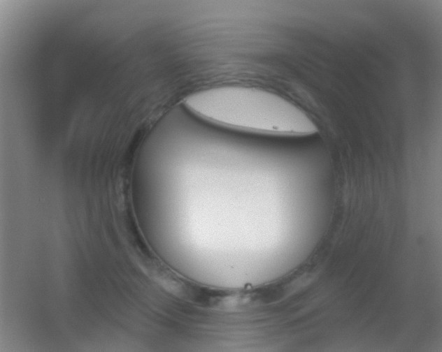 X0000055520366200508120828