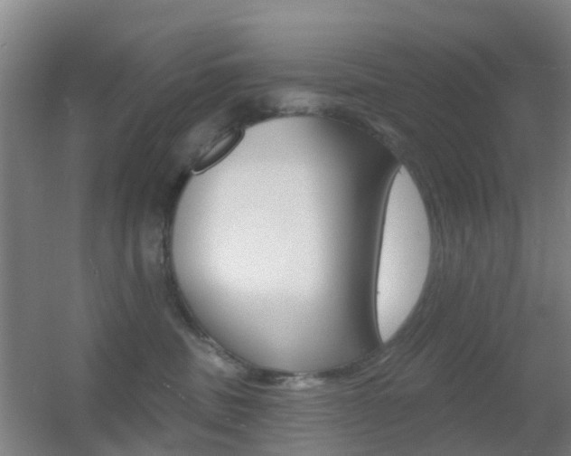 X0000055520379200508120828