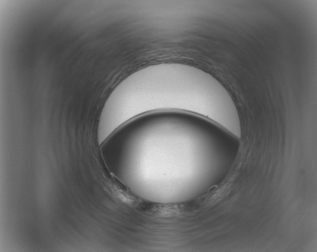 X0000055520384200508120828