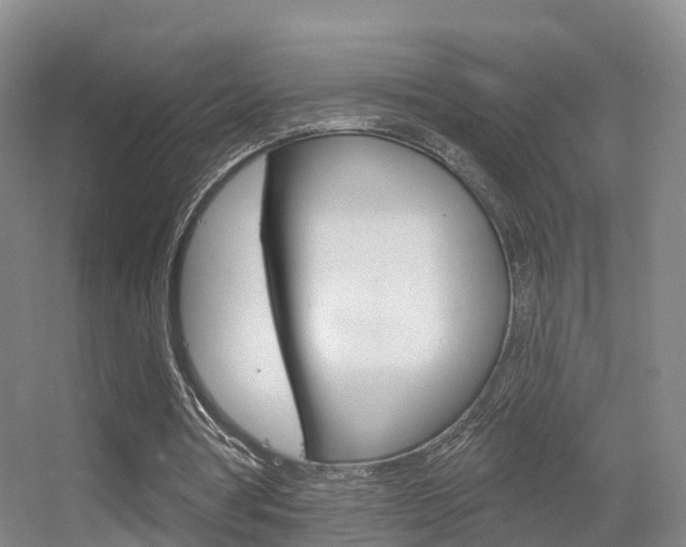 X0000055520386200508120827