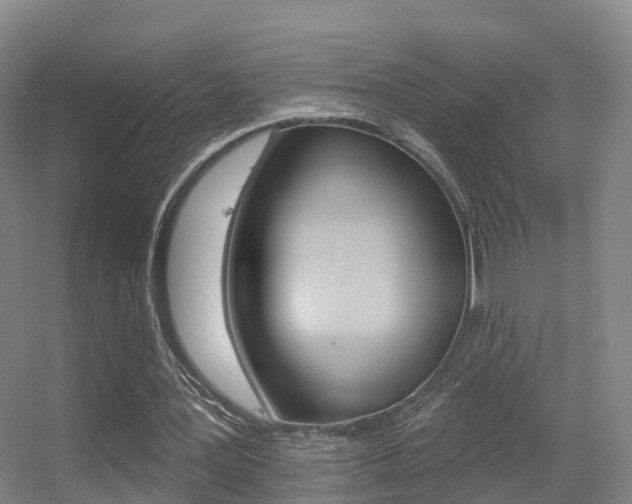 X0000055520387200508120827