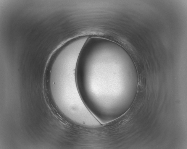 X0000055520388200508120827