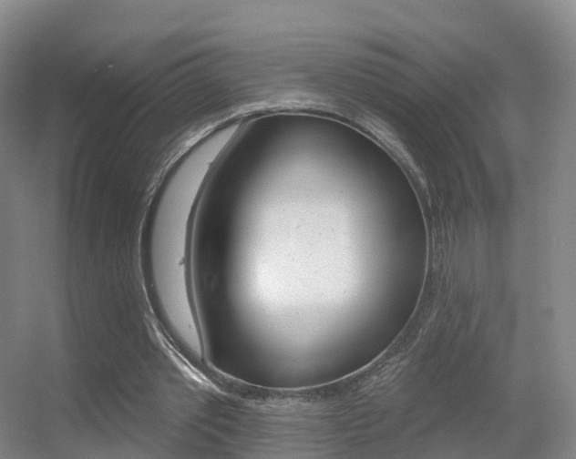 X0000055520389200508120827