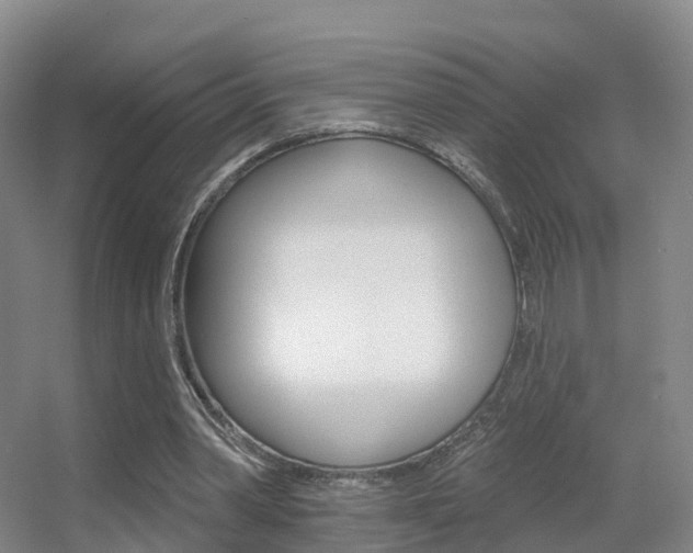 X0000055520390200508120827