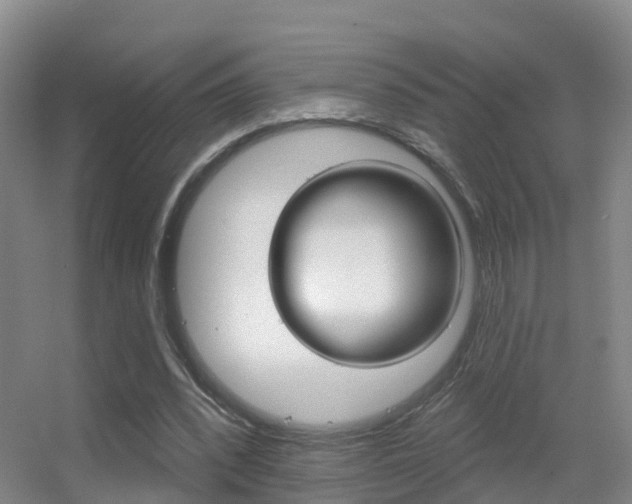 X0000055520392200508120827