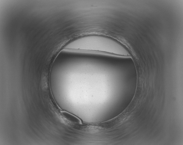 X0000055520393200508120827