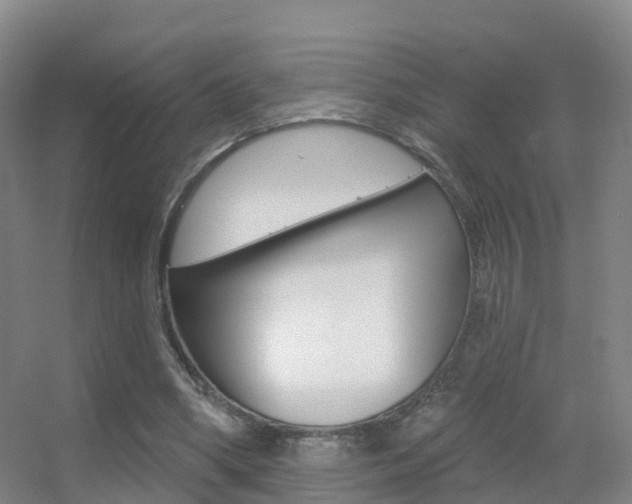 X0000055520394200508120827
