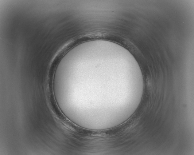 X0000055520396200508120827