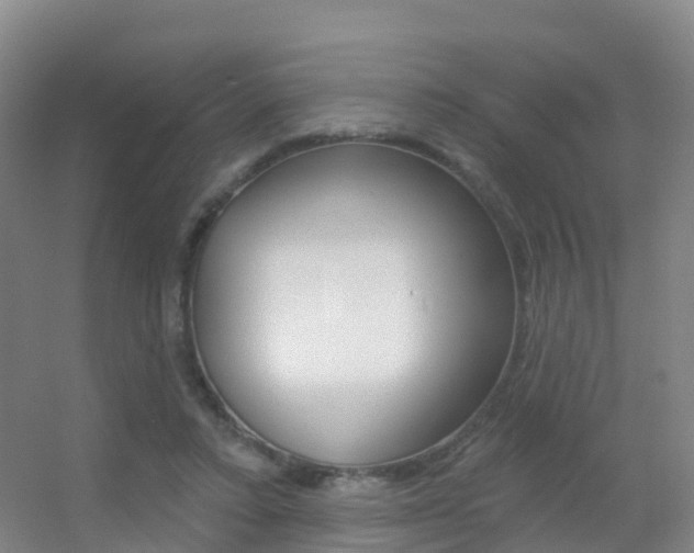X0000055520403200508120827