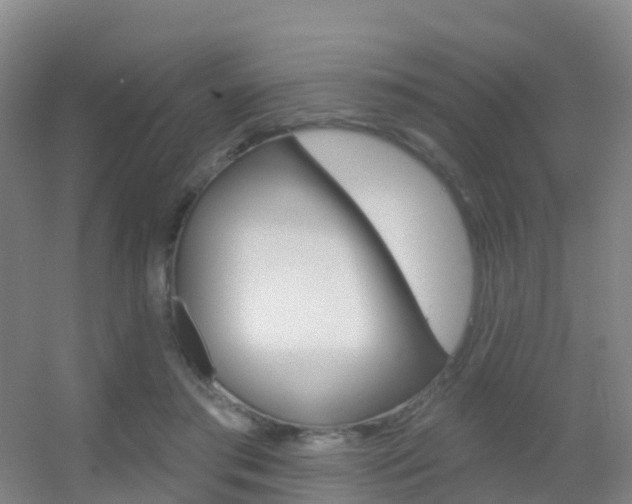 X0000055520405200508120827
