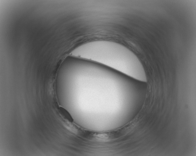 X0000055520409200508120827
