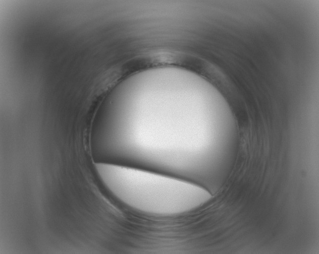 X0000055520410200508120827