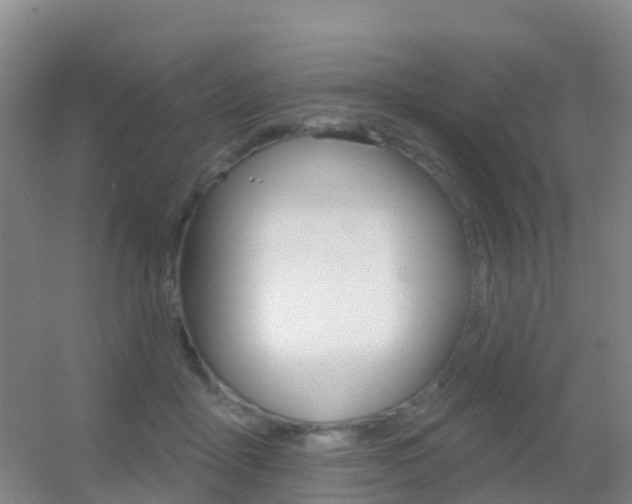 X0000055520411200508120827