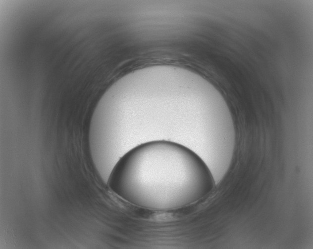 X0000055520413200508120827