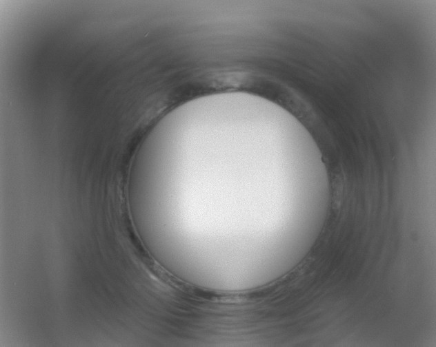 X0000055520414200508120827