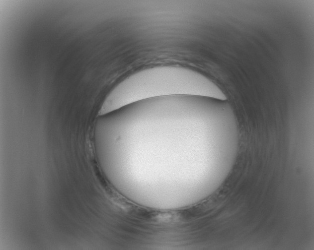 X0000055520415200508120827