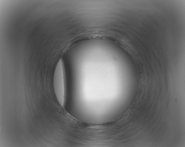 X0000055520417200508120827