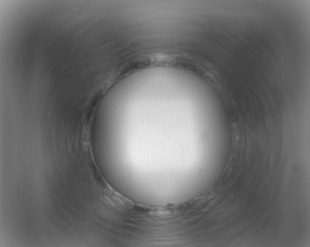 X0000055520419200508120827