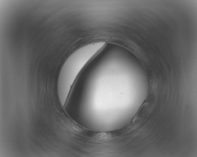 X0000055520421200508120827