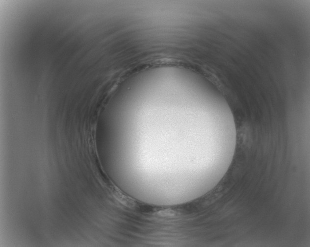 X0000055520423200508120827