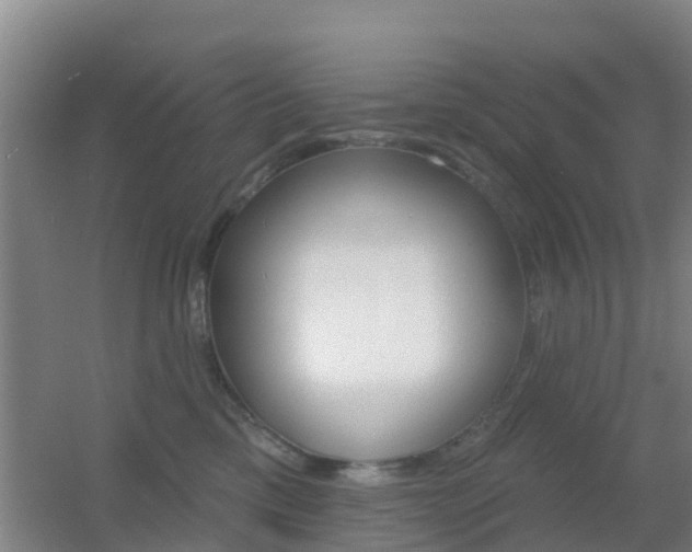 X0000055520425200508120827