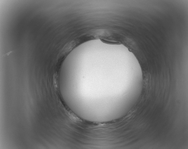 X0000055520430200508120826