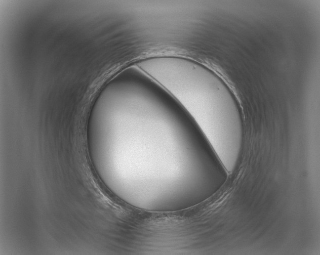 X0000055520433200508120826