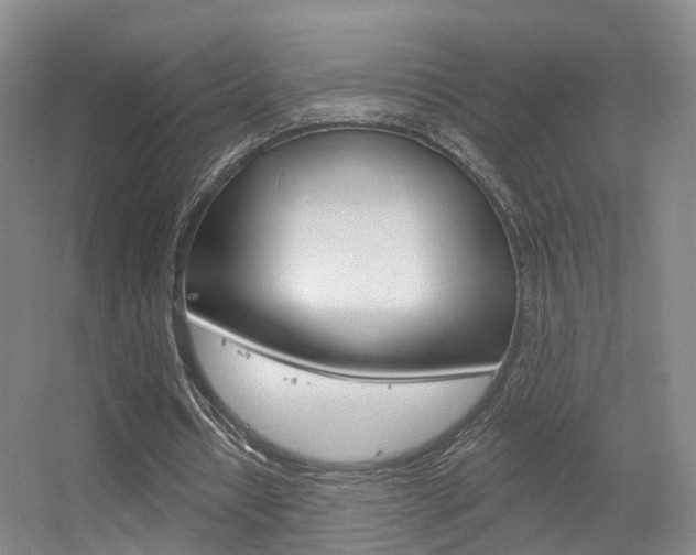 X0000055520434200508120826