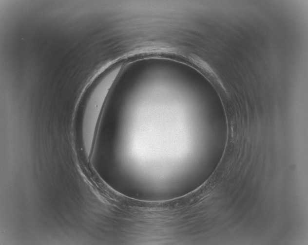 X0000055520436200508120826