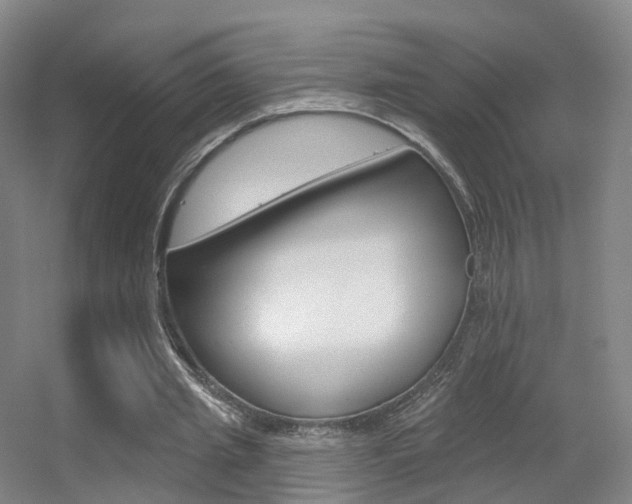 X0000055520437200508120826