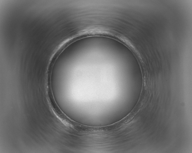 X0000055520438200508120826