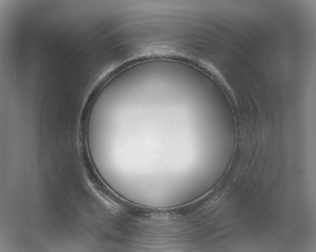 X0000055520439200508120826