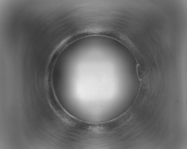 X0000055520440200508120826