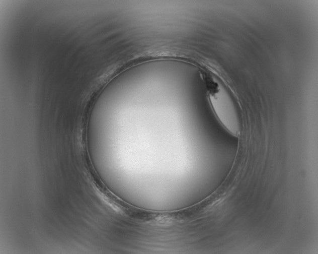X0000055520441200508120826