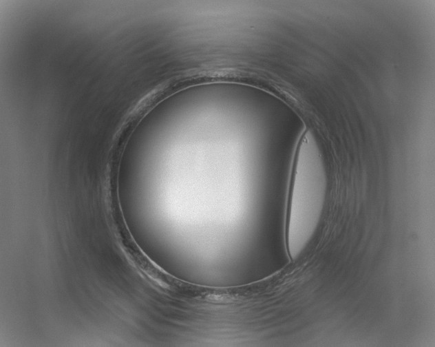X0000055520442200508120826