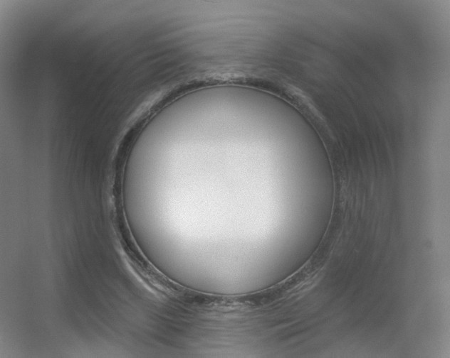 X0000055520443200508120826