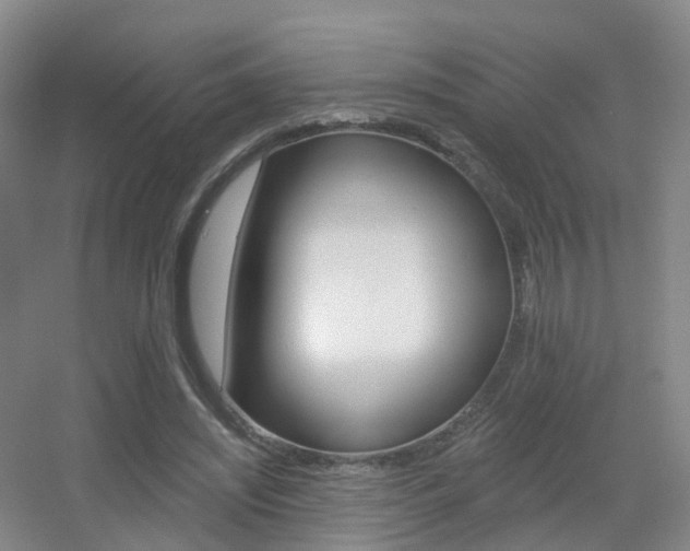 X0000055520444200508120826