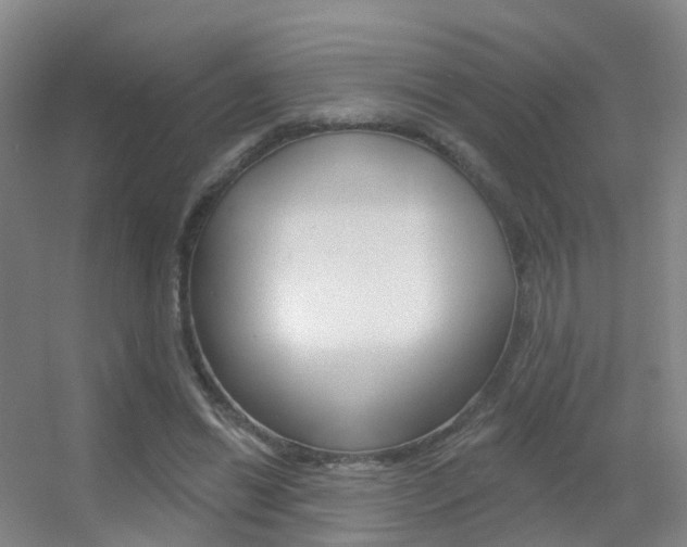X0000055520446200508120826