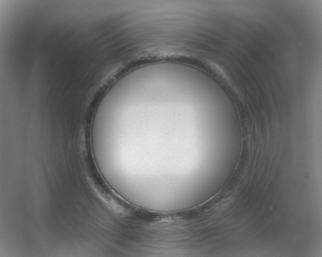 X0000055520447200508120826