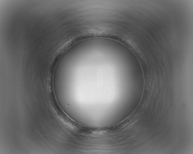 X0000055520450200508120826
